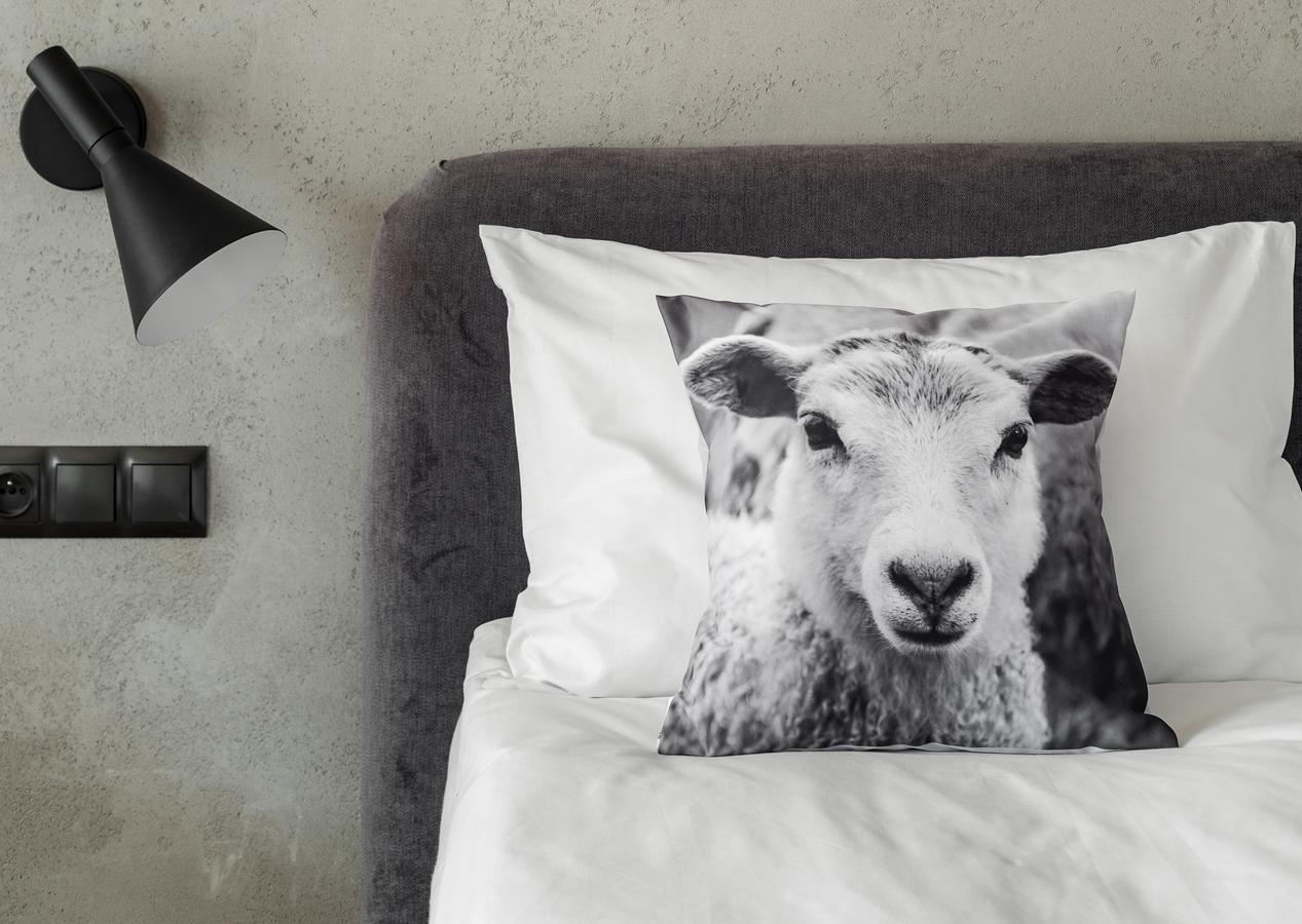 Bed and Breakfast Biala Owca Zakopane Exterior foto A cushion cover