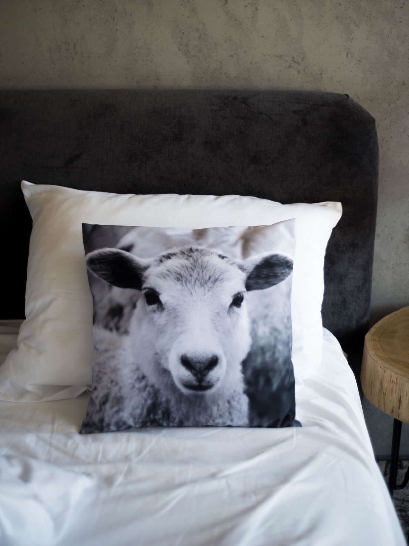 Bed and Breakfast Biala Owca Zakopane Exterior foto A cushion